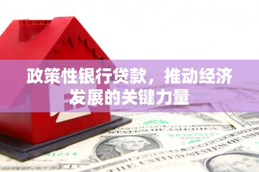 曲阳政策性银行贷款，推动经济发展的关键力量