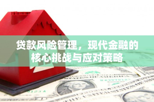 曲阳贷款风险管理，现代金融的核心挑战与应对策略