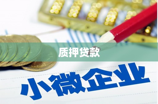 曲阳质押贷款