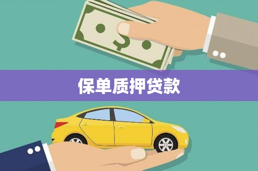 曲阳保单质押贷款