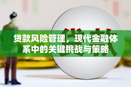 曲阳贷款风险管理，现代金融体系中的关键挑战与策略