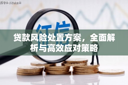 曲阳贷款风险处置方案，全面解析与高效应对策略