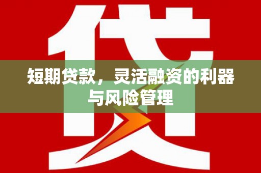 曲阳短期贷款，灵活融资的利器与风险管理