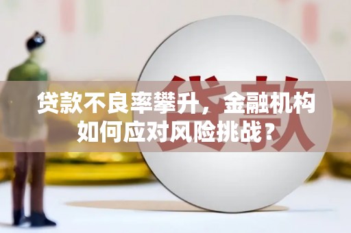 曲阳贷款不良率攀升，金融机构如何应对风险挑战？