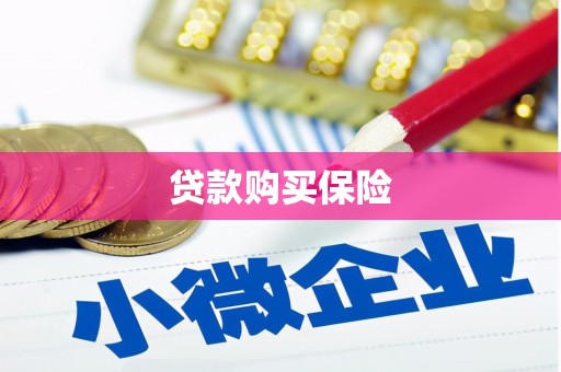 曲阳贷款购买保险