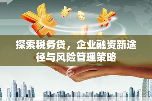 曲阳探索税务贷，企业融资新途径与风险管理策略