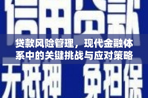 曲阳贷款风险管理，现代金融体系中的关键挑战与应对策略