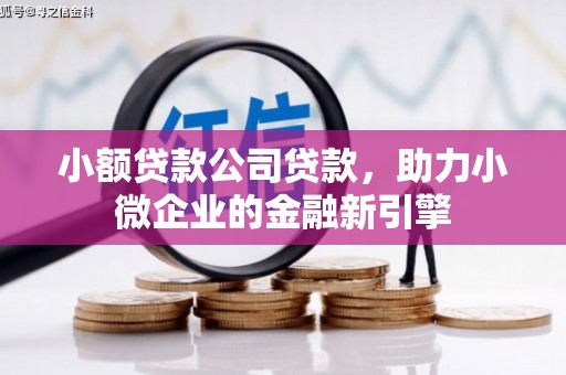 曲阳小额贷款公司贷款，助力小微企业的金融新引擎