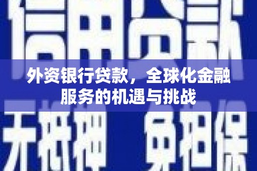 曲阳外资银行贷款，全球化金融服务的机遇与挑战